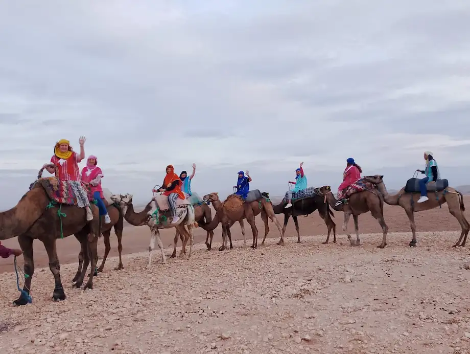Activity Tours Morocco