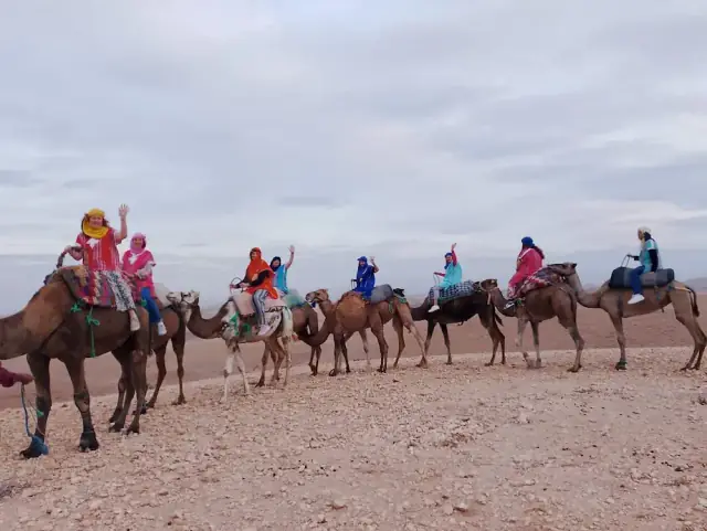 Activity Tours Morocco
