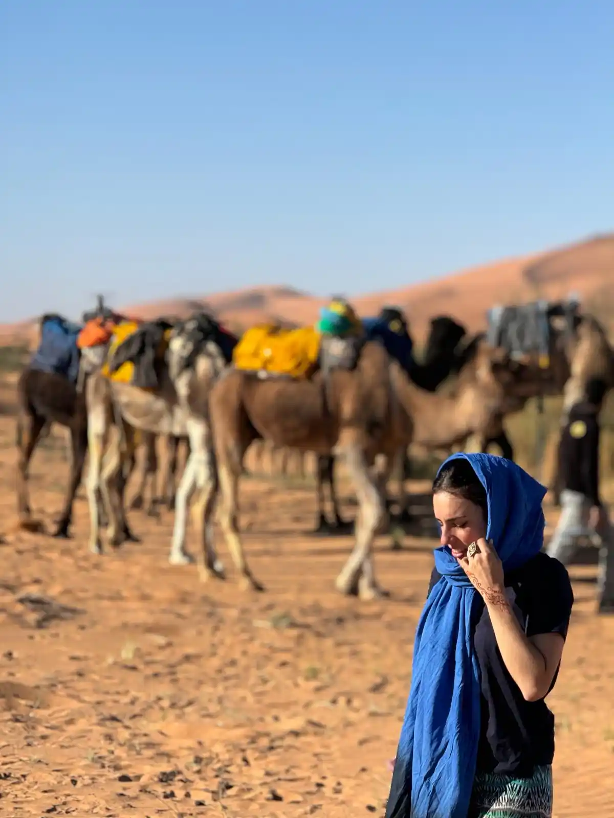 camel pick up time to the camping