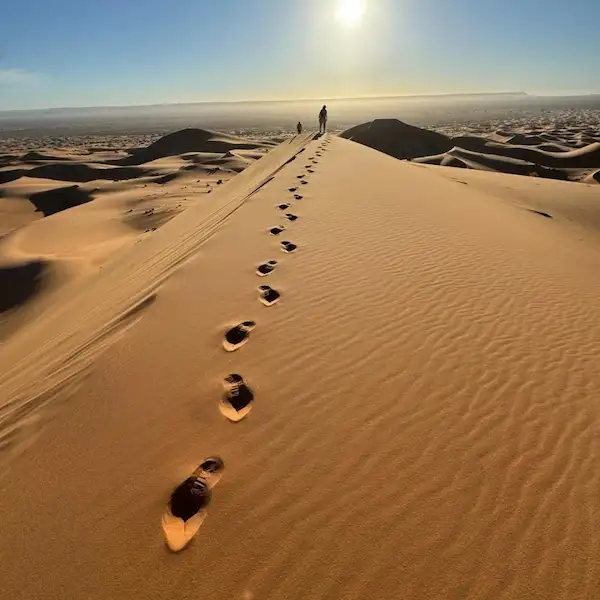 Merzouga Desert with sand dunes and camels at sunset